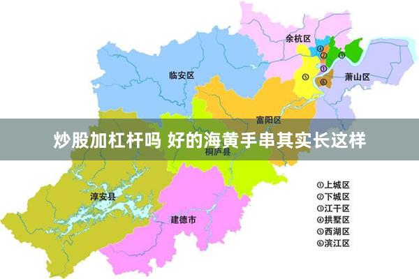 炒股加杠杆吗 好的海黄手串其实长这样