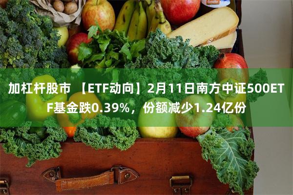 加杠杆股市 【ETF动向】2月11日南方中证500ETF基金跌0.39%，份额减少1.24亿份