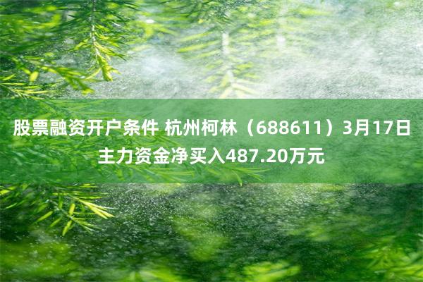 股票融资开户条件 杭州柯林（688611）3月17日主力资金净买入487.20万元