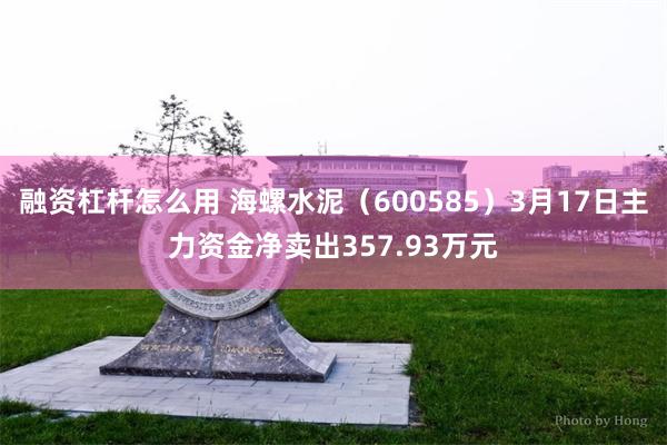 融资杠杆怎么用 海螺水泥（600585）3月17日主力资金净卖出357.93万元