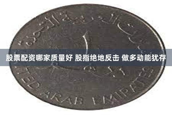 股票配资哪家质量好 股指绝地反击 做多动能犹存
