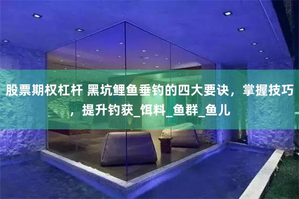 股票期权杠杆 黑坑鲤鱼垂钓的四大要诀，掌握技巧，提升钓获_饵料_鱼群_鱼儿