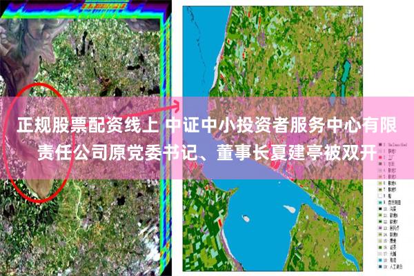 正规股票配资线上 中证中小投资者服务中心有限责任公司原党委书记、董事长夏建亭被双开