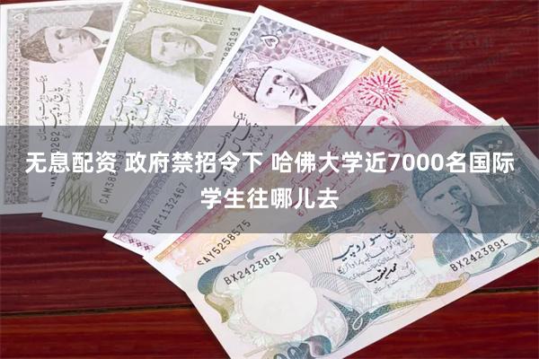 无息配资 政府禁招令下 哈佛大学近7000名国际学生往哪儿去