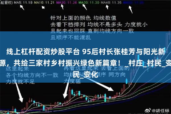 线上杠杆配资炒股平台 95后村长张桂芳与阳光新能源，共绘三家村乡村振兴绿色新篇章！_村庄_村民_变化