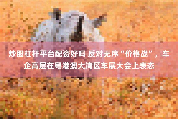 炒股杠杆平台配资好吗 反对无序“价格战”，车企高层在粤港澳大湾区车展大会上表态