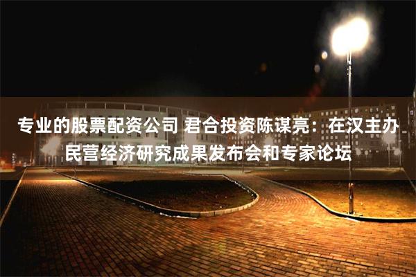 专业的股票配资公司 君合投资陈谋亮：在汉主办民营经济研究成果发布会和专家论坛