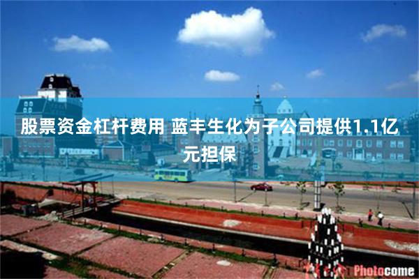 股票资金杠杆费用 蓝丰生化为子公司提供1.1亿元担保