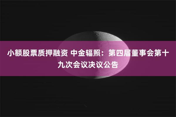小额股票质押融资 中金辐照：第四届董事会第十九次会议决议公告