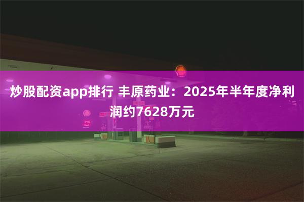 炒股配资app排行 丰原药业：2025年半年度净利润约7628万元