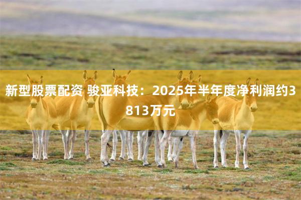 新型股票配资 骏亚科技：2025年半年度净利润约3813万元