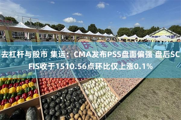 去杠杆与股市 集运：CMA发布PSS盘面偏强 盘后SCFIS收于1510.56点环比仅上涨0.1%
